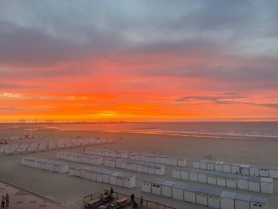 Seafront Apartment 2 Bed Duinbergen クノック・ヘイスト エクステリア 写真